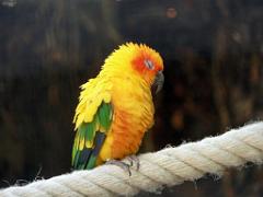101PARC AUX OISEAUX DANS L AIN 2016 3_000011